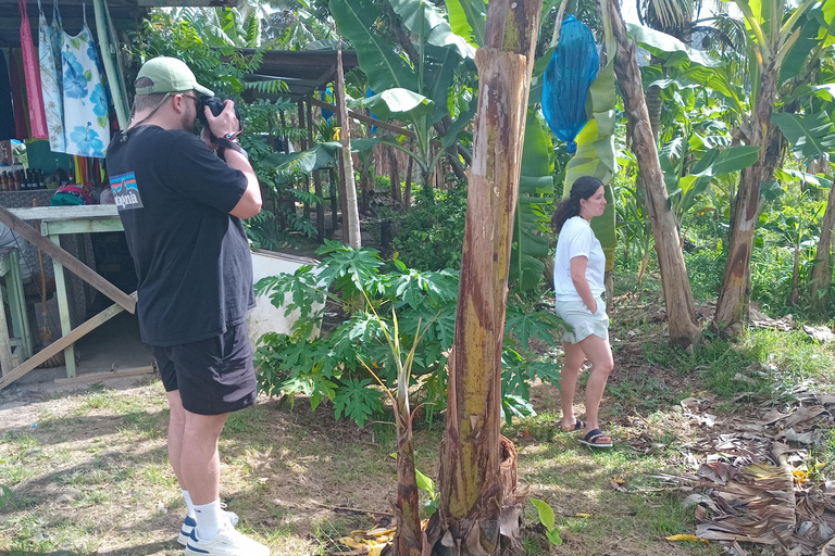 St. Lucia: Landausflug nach Castries City &amp; StrandpicknickSt. Lucia: Stadtrundfahrt durch Castries und Strandpicknick