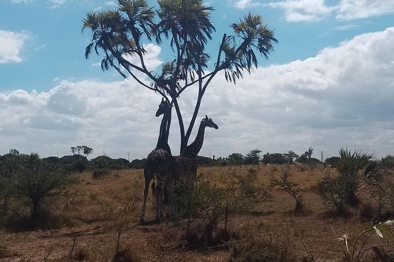 Mombasa: Wildlife Sanctuary Guided Nature Trail Tour Wildlife Sanctuary Guided Nature Trail Tour