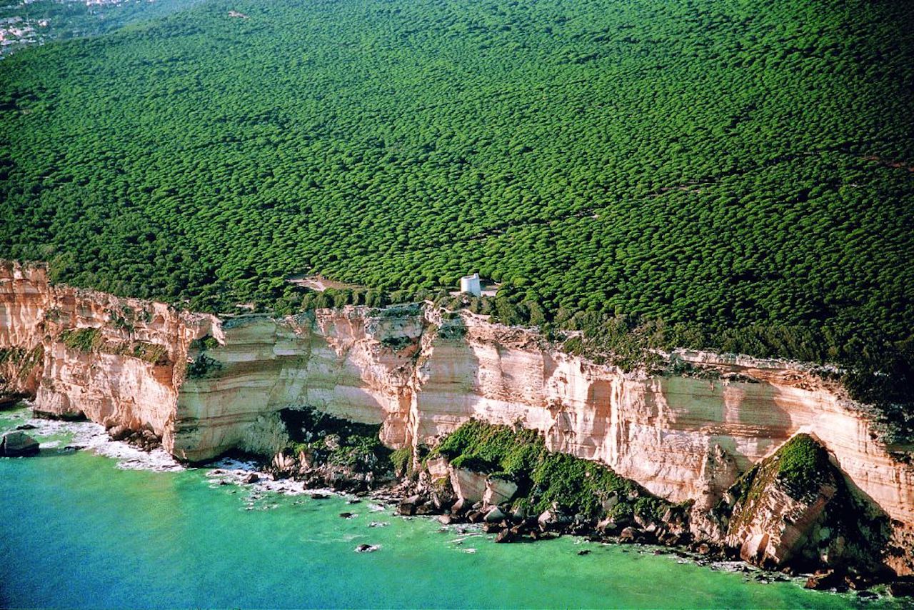 Barbate: Naturpark La Breña und Bootsfahrt zum Kap Trafalgar