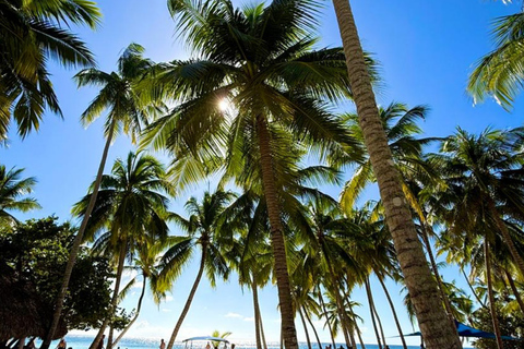 Punta Cana: Saona Island Paradise Catamaran Sightseeing Tour with Lunch and Drinks Punta Cana: Macao Beach and Local Dominican Experience