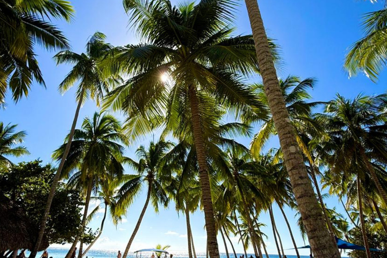 Punta Cana: Saona Island Paradise Catamaran Sightseeing Tour with Lunch and Drinks Punta Cana: Macao Beach and Local Dominican Experience