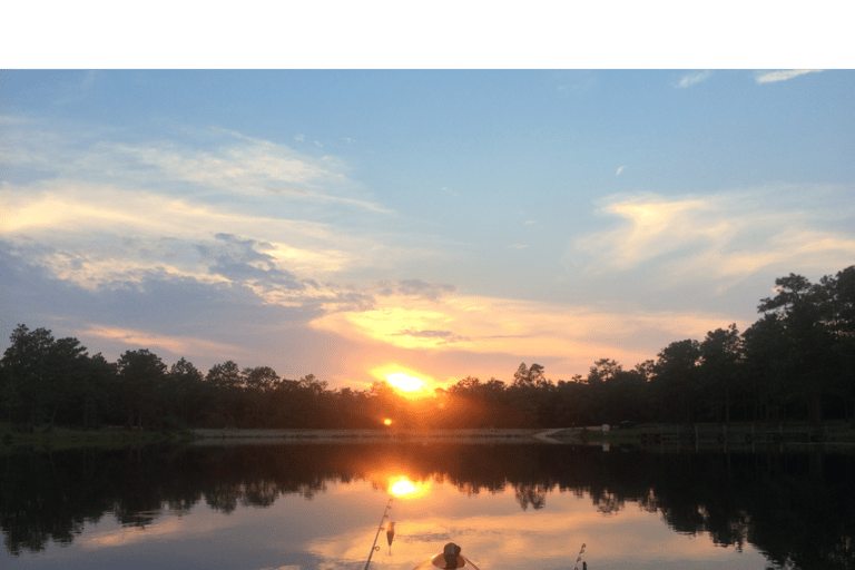 Ocean Springs: tour guidato in kayak