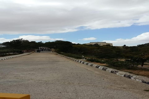 Da Amman: Tour di un giorno a Madaba, Monte Nebo e Mar Morto