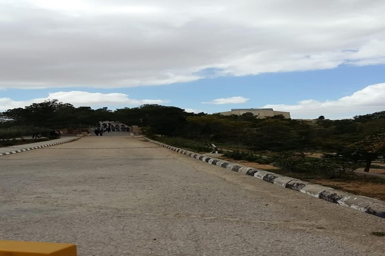 Desde Ammán: Excursión de un día a Madaba, el Monte Nebo y el Mar Muerto