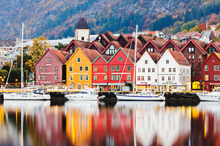 Bergen in Tesla: dall&#039;età del ferro alla vita modernaTour di 3 ore