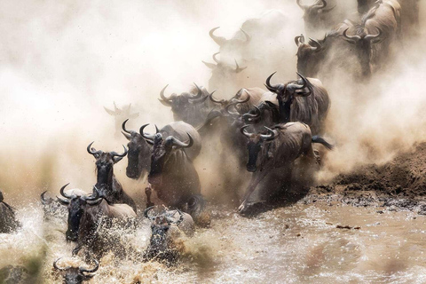 Serengeti: safari di 5 giorni attraverso il fiume Mara