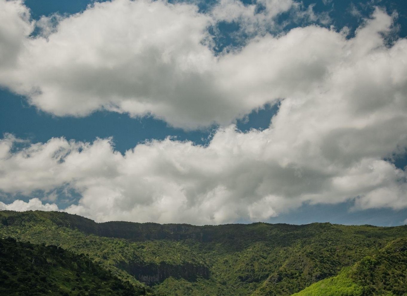 Mauritius: Black River Gorges National Park 3-timers vandretur