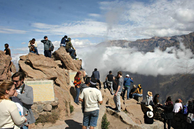 Colca Canyon-utflykt 2 dagar med slut i Puno