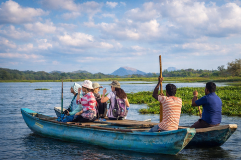 Sigiriya Rock Hike & Dambulla Tuk Tuk Day Tour Sigiriya Hike, Dambulla Cave Temple, Village Tour & Safari