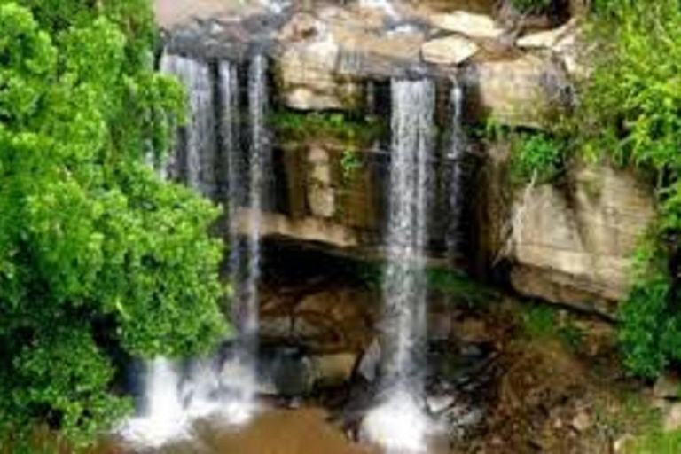 Shimba Hills: Pirschfahrt, Wasserfall-Wanderung und Mittagessen