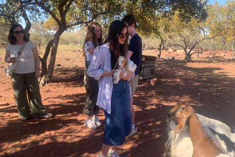 Mehrtägige Tour ab Gaborone: 2 Tage Stadt- und Dorferlebnis