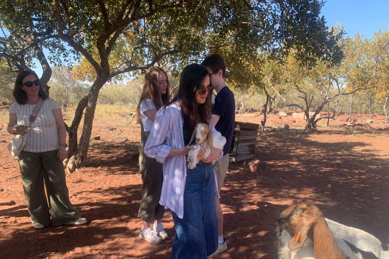 Mehrtägige Tour ab Gaborone: 2 Tage Stadt- und Dorferlebnis