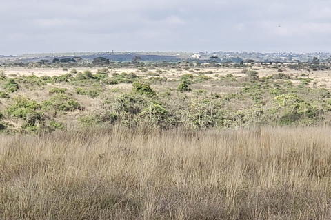 Nairobi National Park Halve dag gamedrive met gids