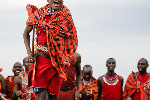 Elephants, Giraffe center, Blixen Museum and Bomas of Kenya