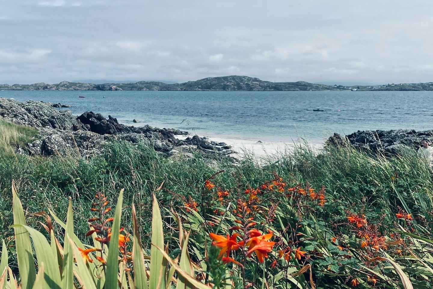 Oban: Isle of Mull and Iona Tour