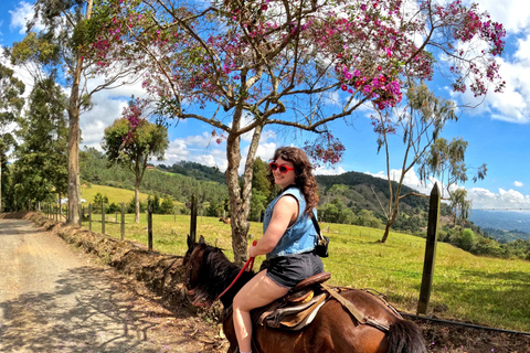 2-hour horseback riding + Private transportation + Photos & videos + Gift for the first 5 to book 2-hour horseback ride + private transportation + photos & videos + gift for the first 5 to book.