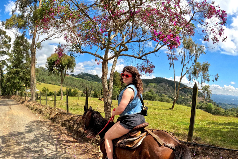 2-hour horseback riding + Private transportation + Photos & videos + Gift for the first 5 to book 2-hour horseback ride + private transportation + photos & videos + gift for the first 5 to book.