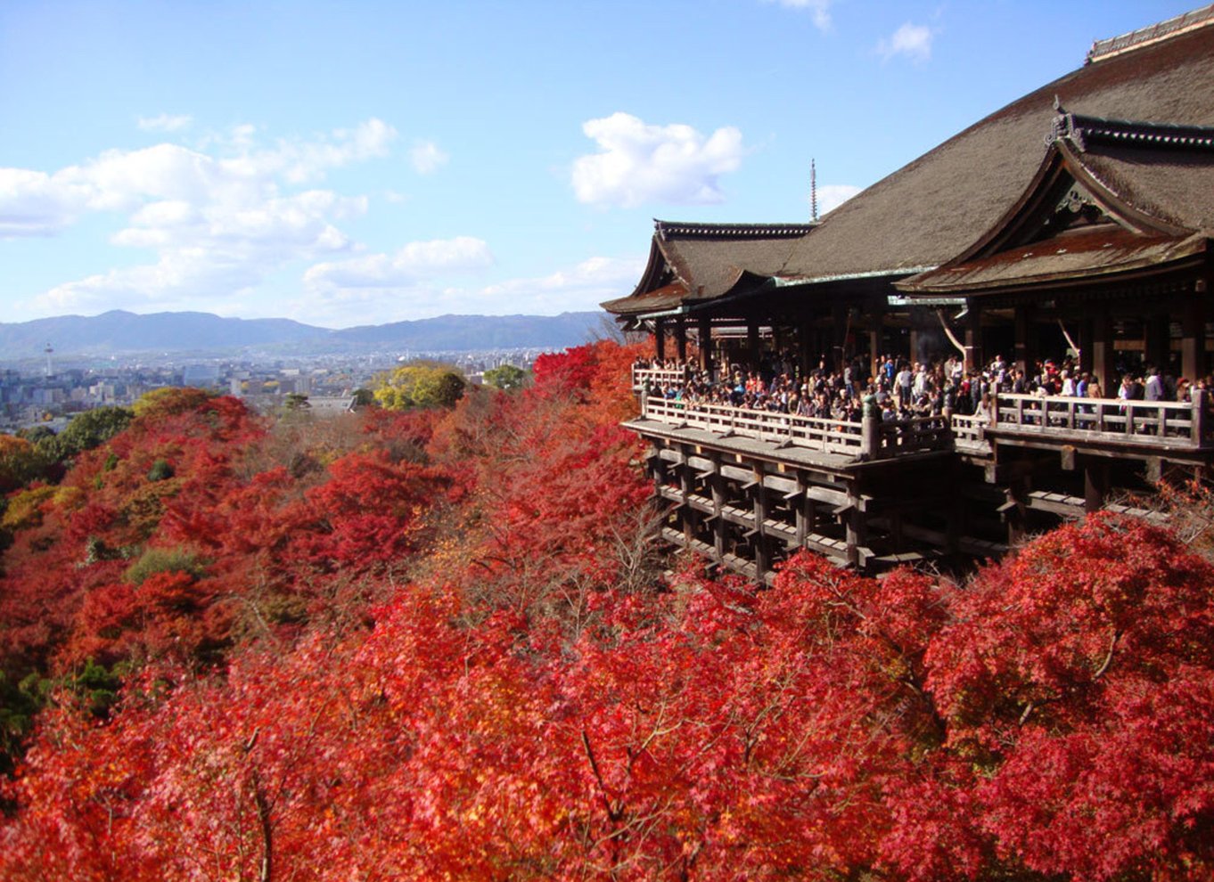 Kyoto: Heldagstur med de bedste UNESCO- og historiske steder