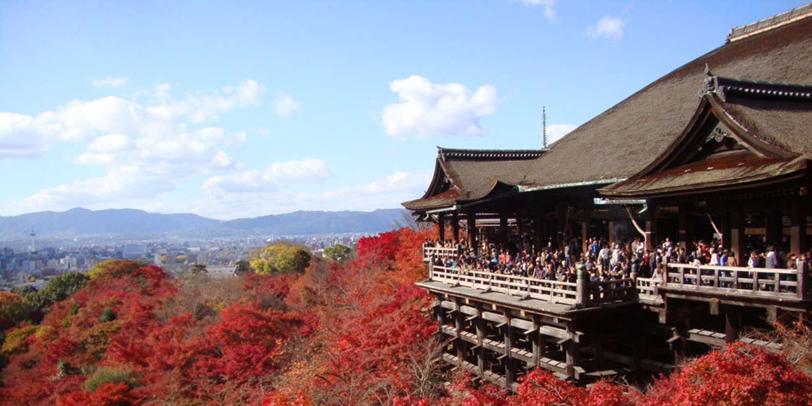Kyoto experience — temples, geisha, bamboo grove — image 10