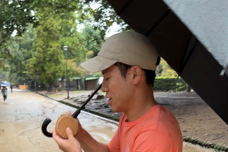 Nara: Deer, Temples, and Hidden Lanes Walking Tour Regular Meal Option