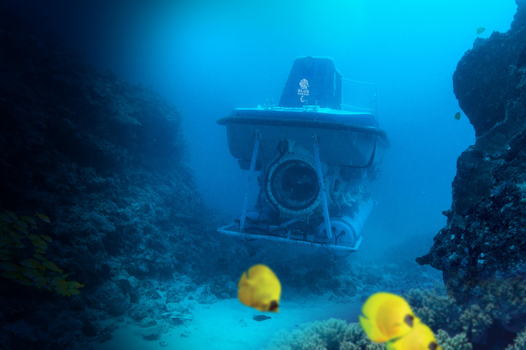 Triolet : plongée sous-marine avec transferts depuis l&#039;hôtelTriolet : Plongée sous-marine avec transferts depuis l&#039;hôtel