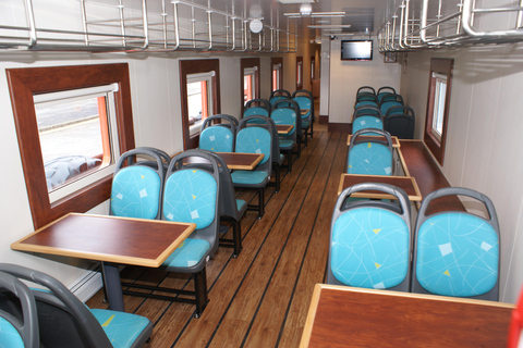 Punta Arenas: Ilha Magdalena - Passeio com pinguins e farol