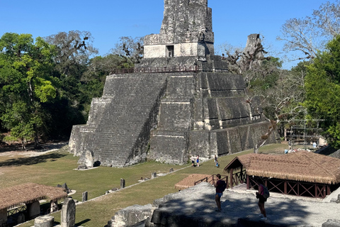 Tikal Sunset, Archeological focus and Wildlife Spotting From San Ignacio Belize, Small Group