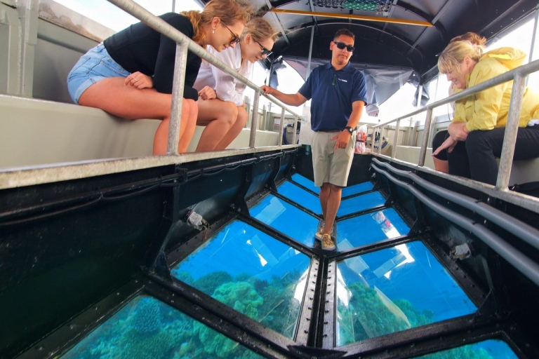 Ultieme cruise op het Great Barrier Reef met Marine World PontoonCruise met Marine Marine World Pontoon & Snorkel Safari