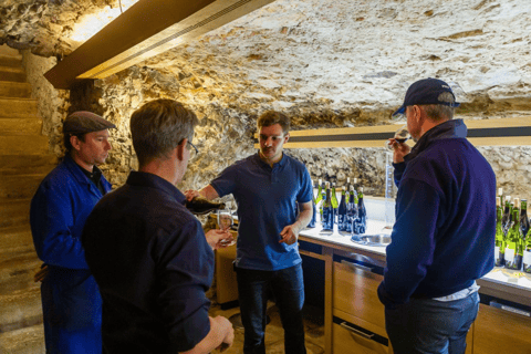 Avignon: dia inteiro de trufas e vinhos Chateauneuf-du-Pape