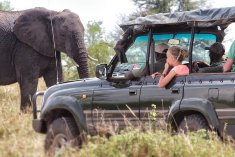 Circuito de safari de 7 días por el sur de Tanzania