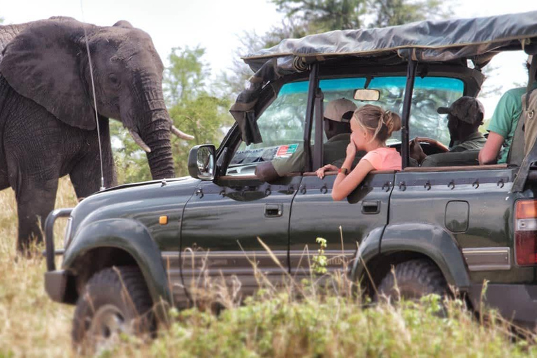 11 dias do melhor do Quénia e da Tanzânia com a viagem de safari ao Serengeti