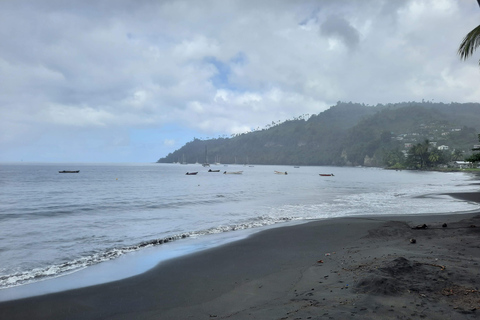 Island Tours: St. Vincent & the Grenadines - Dark View Falls