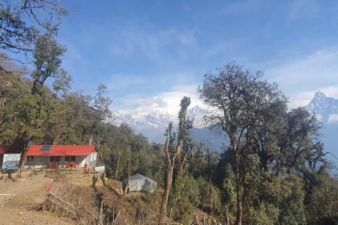 Mardi Himal Guided Private Trekking from Pokhara – 4 Days Mardi Himal Guided Private Trekking from Pokhara – 4 Days