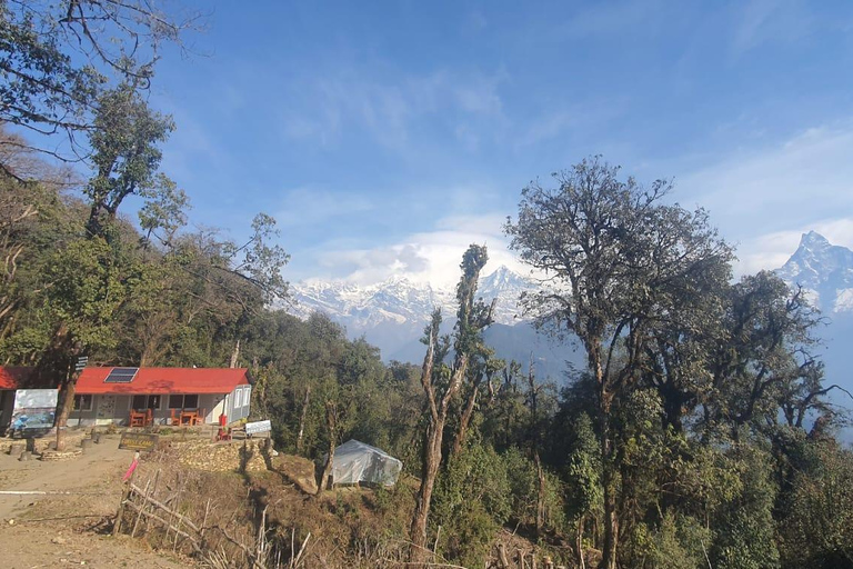 Mardi Himal Guided Private Trekking from Pokhara – 4 Days Mardi Himal Guided Private Trekking from Pokhara – 4 Days