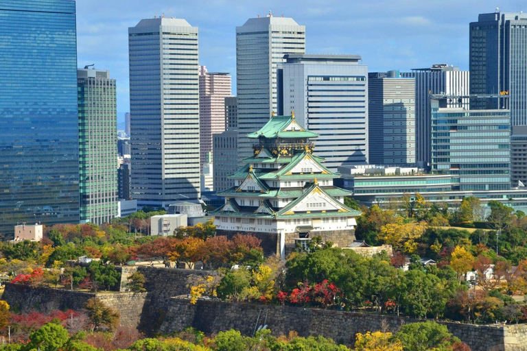 Osaka Day Tour: Unveiling the Ever-Changing City's Story