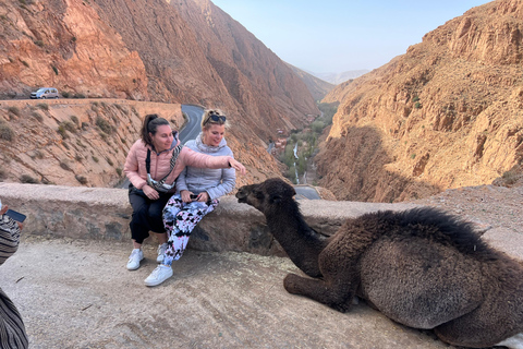 2 Days Trip From Marrakech To Ouarzazate & Dades Valley 2 Days Shared Tour : Marrakech To Ouarzazate & Dades Valley