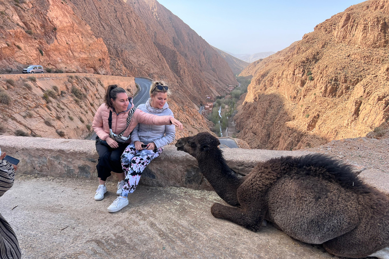 2 Days Trip From Marrakech To Ouarzazate & Dades Valley 2 Days Shared Tour : Marrakech To Ouarzazate & Dades Valley