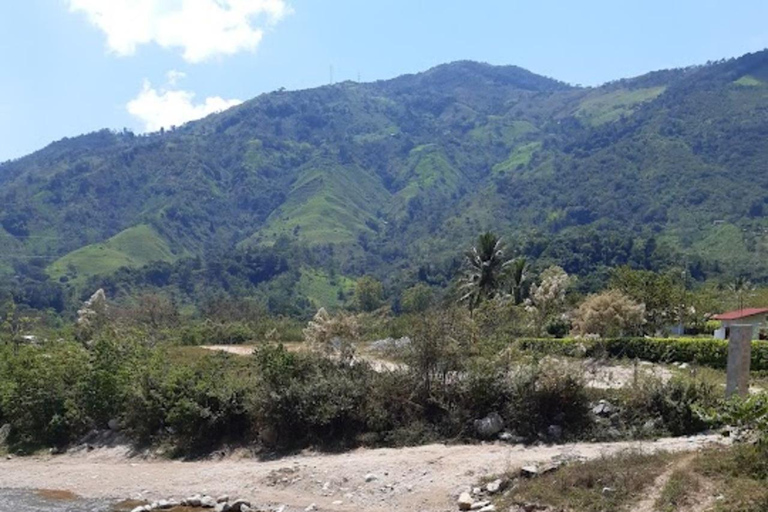 MEDELLIN: WYCIECZKA MLECZARSKA + SZWAJCARIA KOLUMBIJSKA