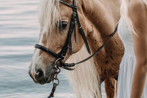 From Porto: Beach Horse Ride + Hotel Transfer