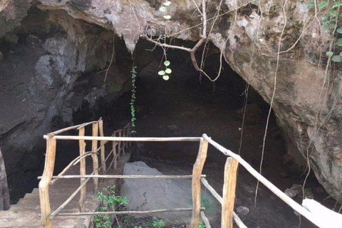 Traditional dhow ride to Kisite Marine Park & Wasini & dolphin watching