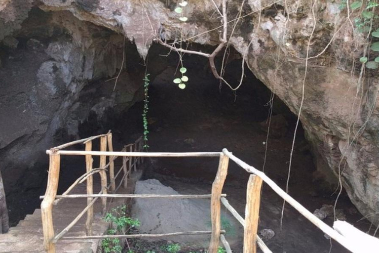 Traditional dhow ride to Kisite Marine Park & Wasini & dolphin watching