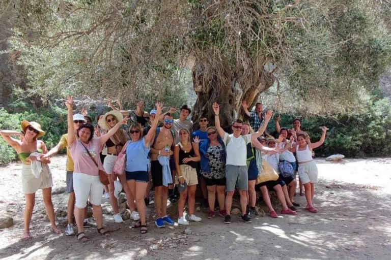 Kreta: Prywatna wycieczka Agios Thomas, Messara i Matalaidealna prywatna wycieczka do Matali