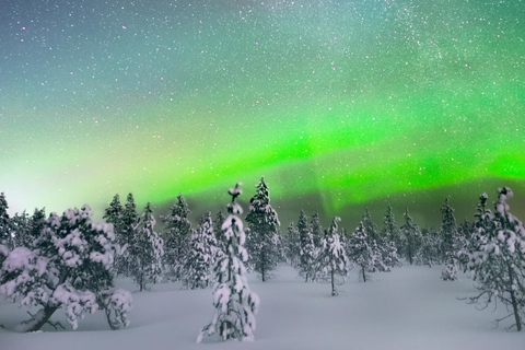 Levi: Snöskotertur med norrsken, snacks och drycker