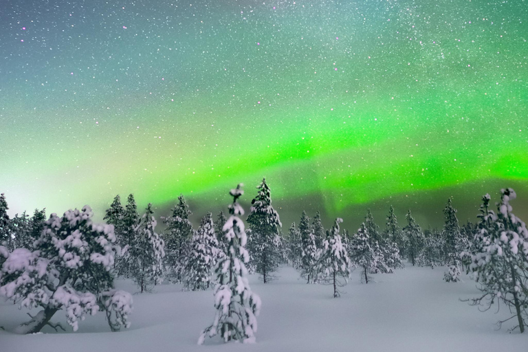 Levi: Snöskotertur med norrsken, snacks och drycker