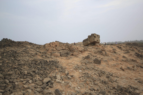 Salalah: Private City Tour — Half or Full Day Half day - Micro/Hiace (5-12 guests)