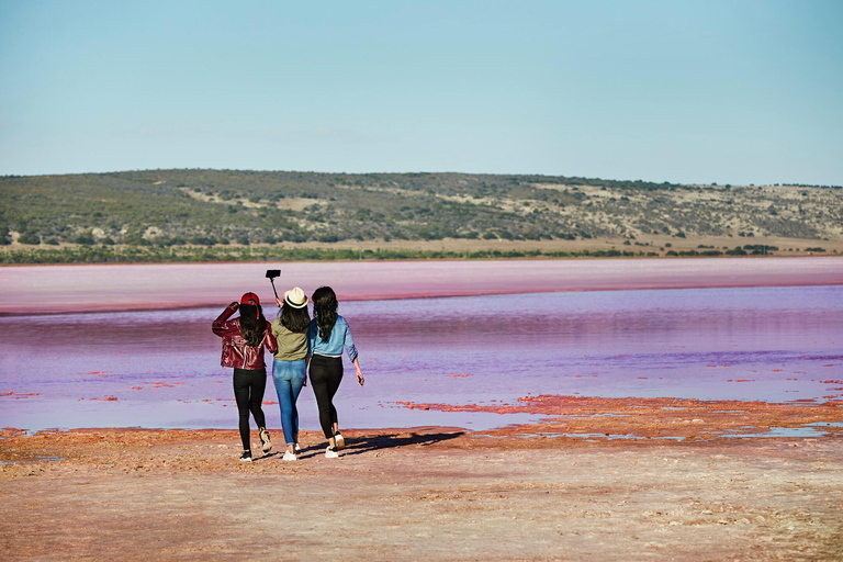 2 Day Pink Lake the Pinnacles &amp; Sand Dunes Coral Coast Tour