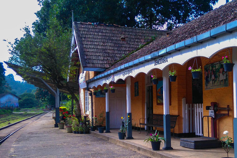 Traslado de TukTuk da Estação Ferroviária de Demodara para o Ella Hotel