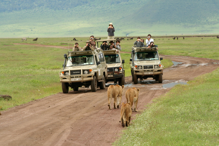 3 dagars safari Serengeti och Ngorongorokratern Gruppsafari