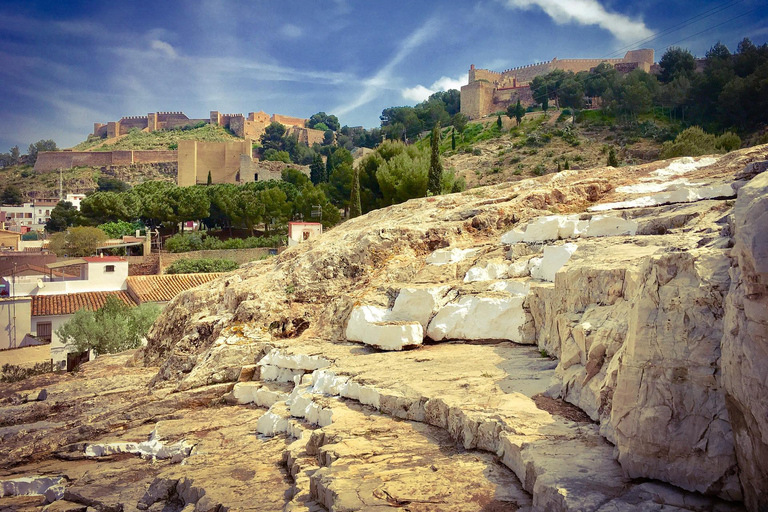 Sagunto - Tour a pie histórico privado