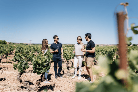 Da Madrid: Villaggi tradizionali, tour della cantina e pranzo a base di tapasTour in inglese